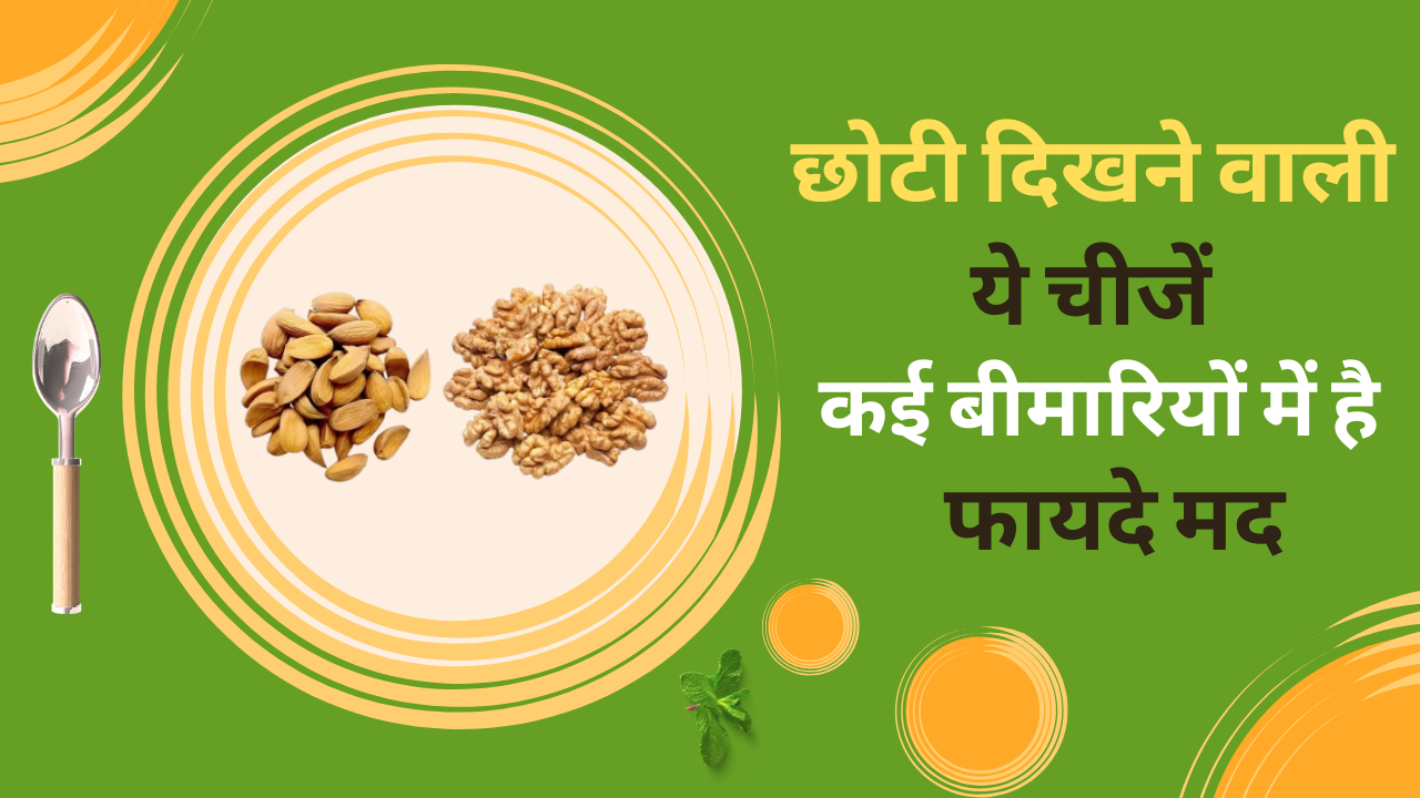 बादाम और अखरोट: छोटी दिखने वाली ये चीजें कैसे बढ़ाती हैं उम्र और घटाती हैं बीमारियाँ?